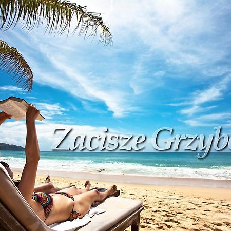 Apartamento Zacisze Grzybowo Grzybowo  Exterior foto